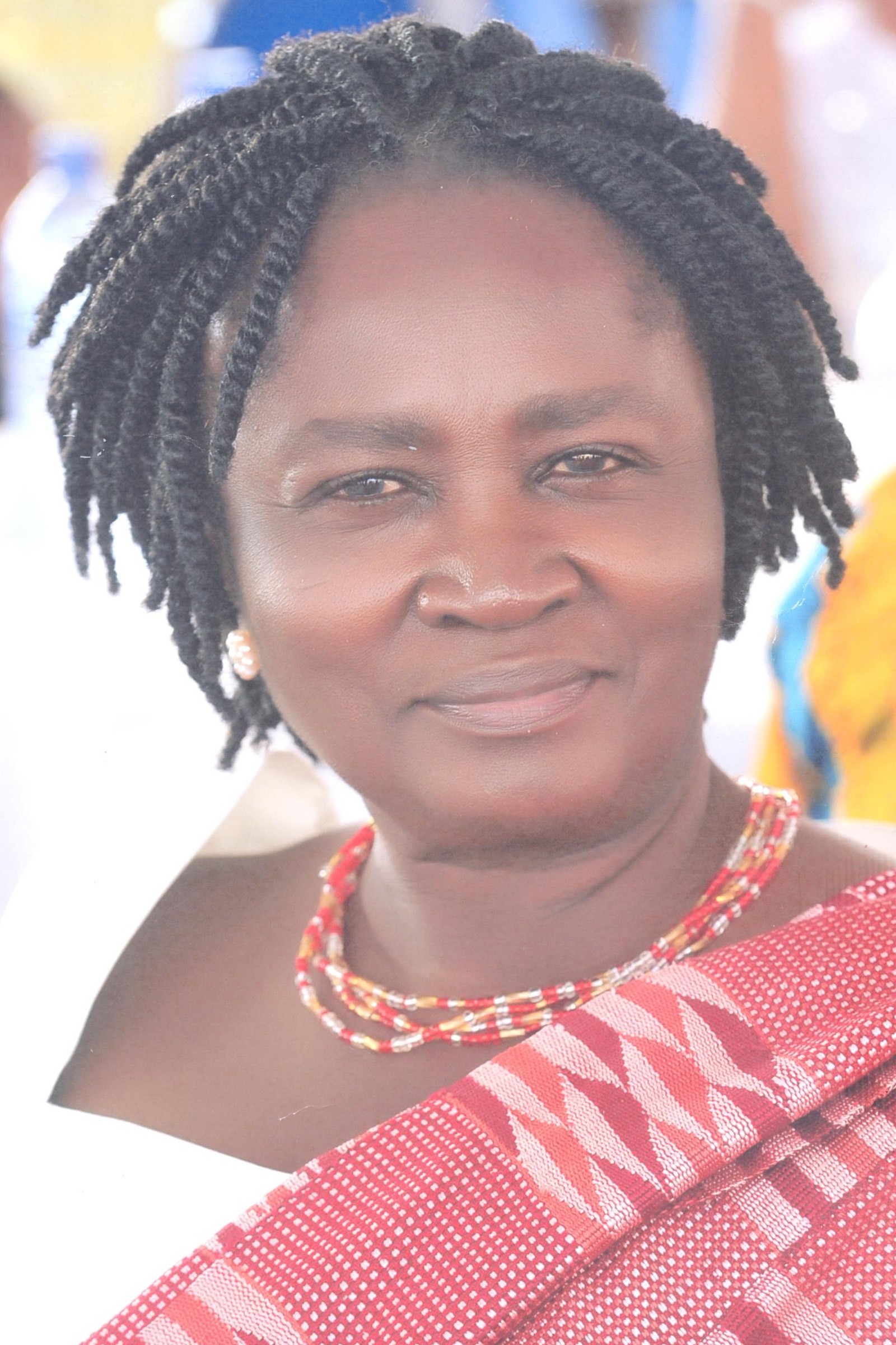 Prof Naana Jane Opoku Agyemang Forum For African Women